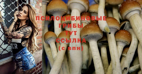 круглые Бронницы