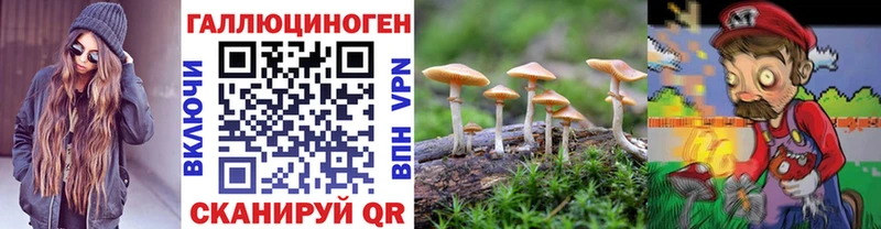 Псилоцибиновые грибы мицелий Дзержинск