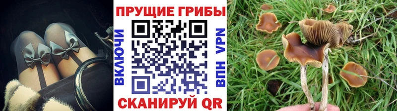 Галлюциногенные грибы GOLDEN TEACHER  Дзержинск 